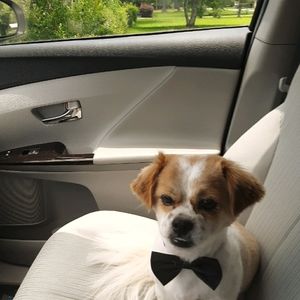 All offers considered.